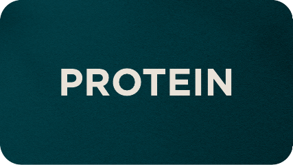 PROTEIN