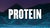 Protein